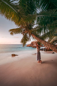 Woman standing by palm tree at beach during sunset