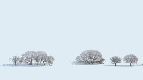 Scenic view of snow covered landscape