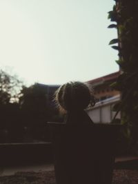 Rear view of woman sitting outdoors