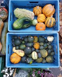 High angle view of pumpkins in market