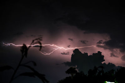 Low angle view of lightning in sky at night