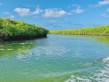 Scenic view of river against sky