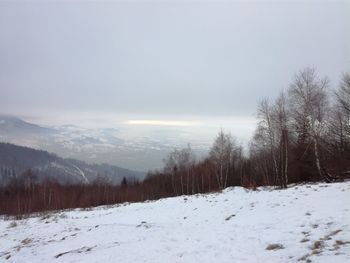 Trees on snow covered landscape against sky