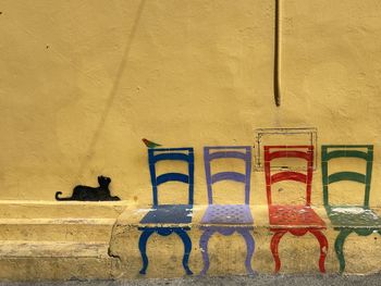 View of cat on wall