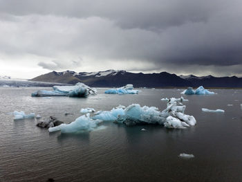 Icebergs at beach against sky