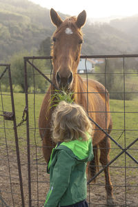 Young girl with a chestnut mare in the field