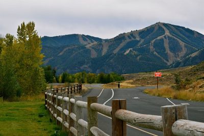 Wooden fence by road