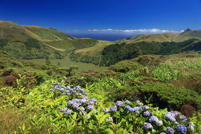 Scenic view of mountains against blue sky