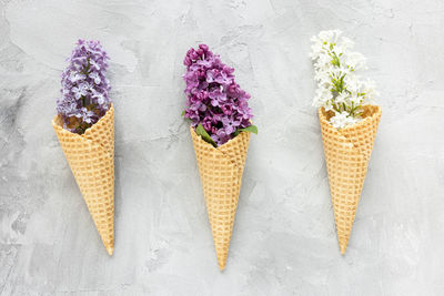 Fresh lilac flowers in ice cream cone. abstract spring background