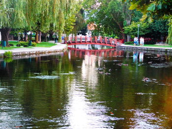 Pond in park