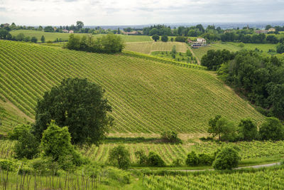 Scenic view of farm against sky