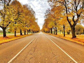 Empty road along trees during autumn