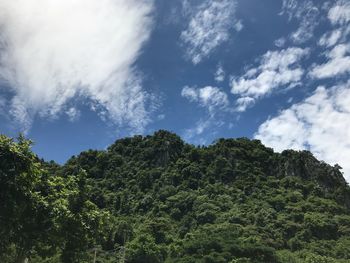 Low angle view of trees against sky