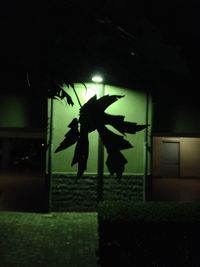Silhouette person seen through glass window at night