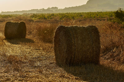 Hay bales on field against sky