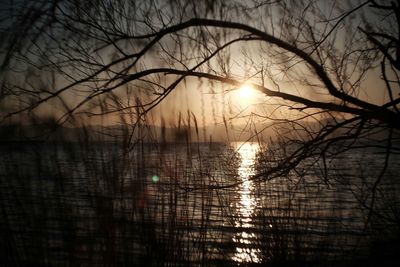 Reflection of trees in lake at sunset