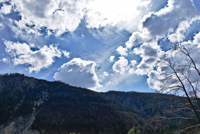 Low angle view of trees against sky