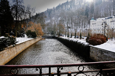 Canal amidst trees during winter
