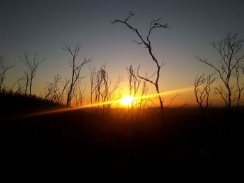 Silhouette trees on landscape against sky during sunset