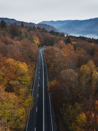 Aerial view of asphalt road trough the autumn colorful forest. travel concept.