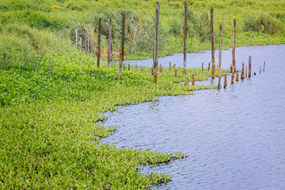 Scenic view of lake