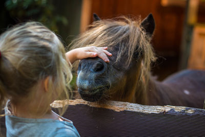 Close-up of girl stroking ponytail at ranch