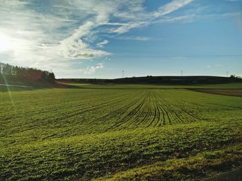 Scenic view of field against cloudy sky