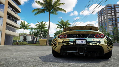 Car on street by palm trees and buildings in city against sky