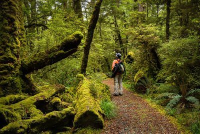 Full length of man walking amidst trees in forest