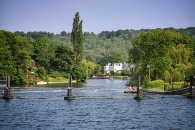 Scenic view of river amidst trees against sky