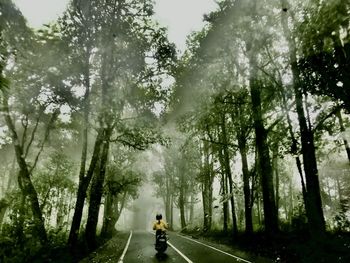 Rear view of man walking on road