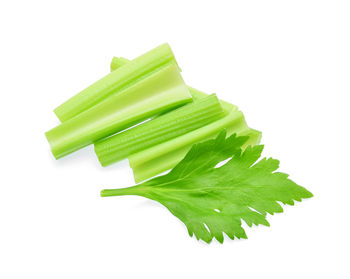 Close-up of green leaf against white background