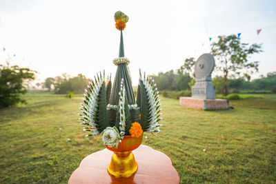 Close-up of chess pieces