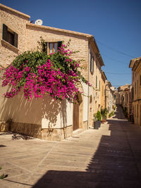 View of alley amidst buildings in town