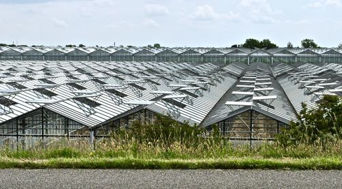 Row of greenhouses in field