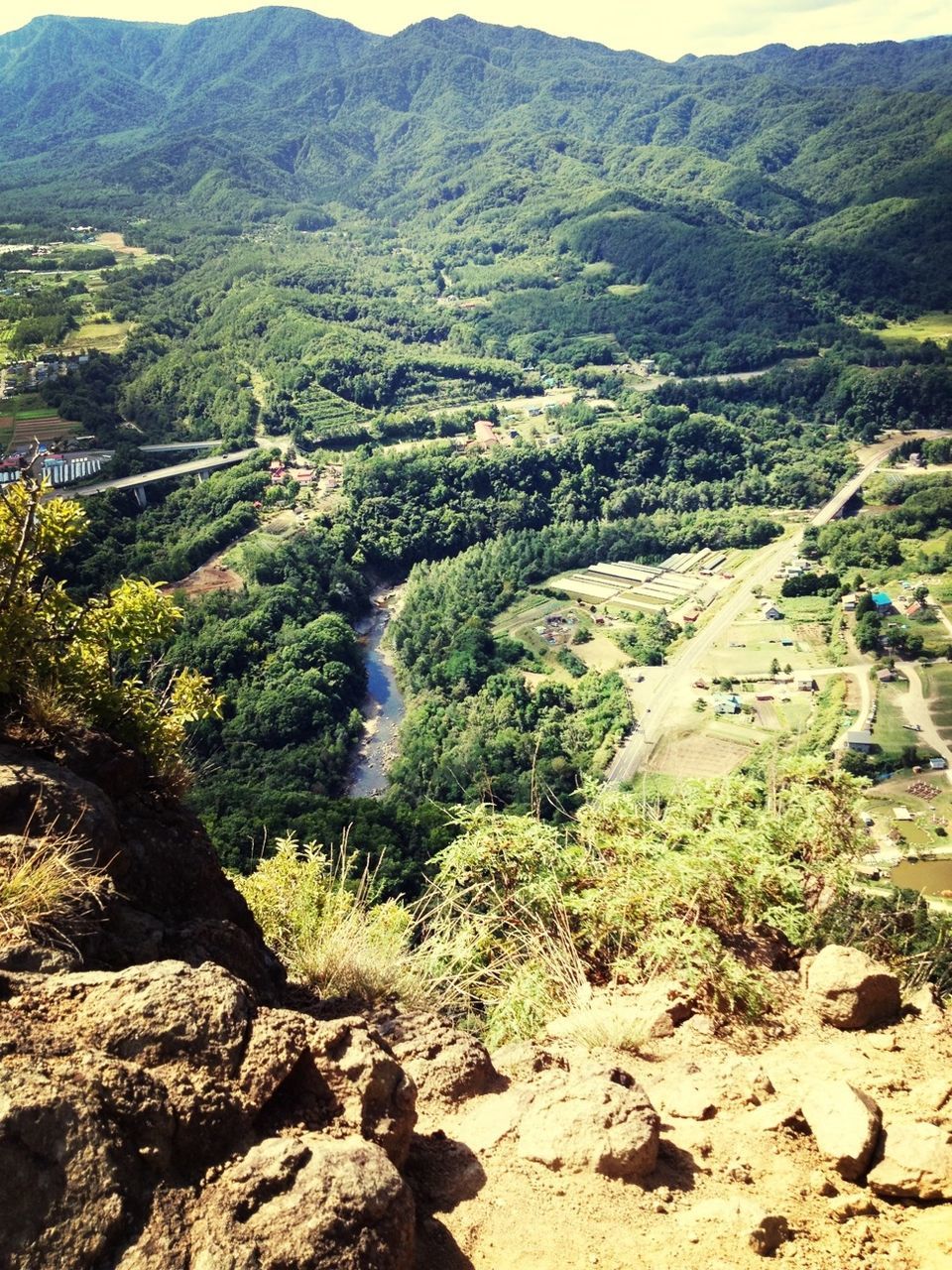 mountain, landscape, tranquil scene, tranquility, scenics, high angle view, beauty in nature, nature, mountain range, tree, green color, non-urban scene, valley, hill, growth, rural scene, day, remote, idyllic, outdoors