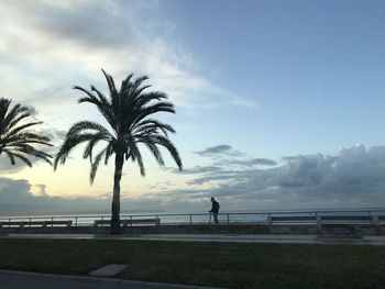 Silhouette palm trees by sea against sky