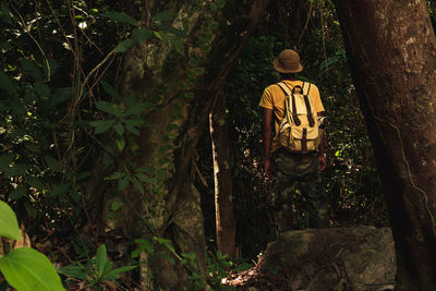 Rear view of man sitting by tree trunk in forest