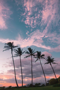 Low angle view of silhouette palm trees against romantic sky