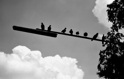 Low angle view of birds perching on roof against sky