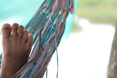 Close-up of rope against blurred background