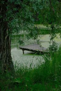 View of a lake