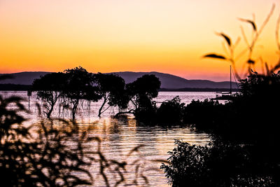 Silhouette trees by lake against sky during sunset