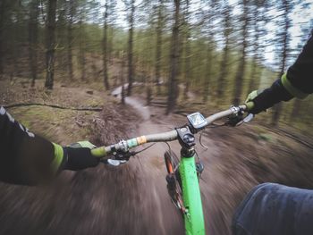 Man with arms raised in forest