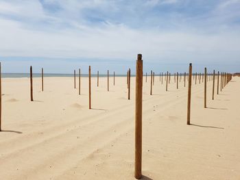 Wooden posts on beach against sky