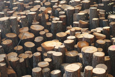 Full frame shot of logs in forest