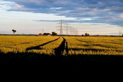 Scenic view of field against cloudy sky