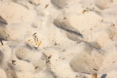 High angle view of a sand