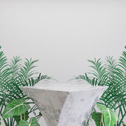 Close-up of potted plant against white background