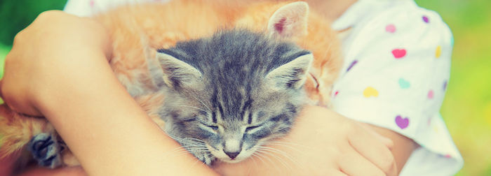 Close-up of woman with cat